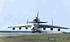 aviator245